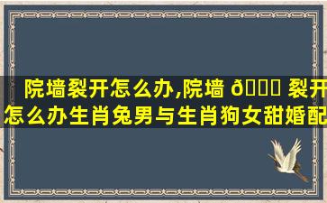 院墙裂开怎么办,院墙 💐 裂开怎么办生肖兔男与生肖狗女甜婚配吗!